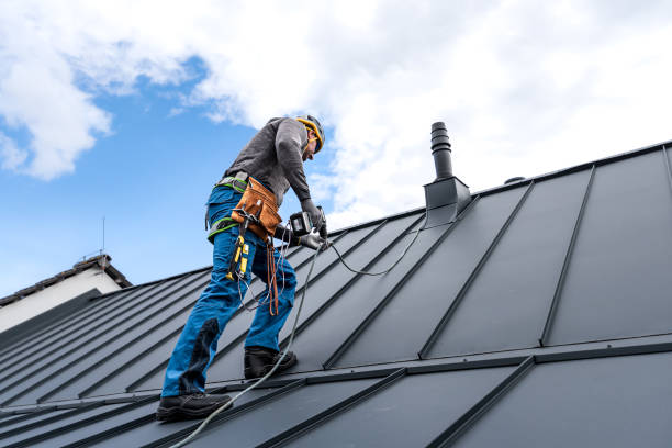 Best Skylight Installation and Repair  in Pixley, CA